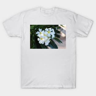 Frangipani or Yellow and White Flower Barbados Spring T-Shirt